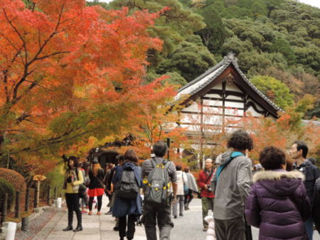 京都に行こう　３　　永観堂