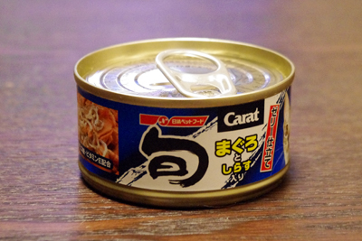 猫まっしぐら