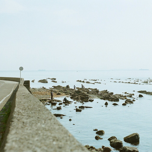 初夏 初夏