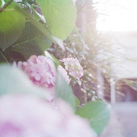 梅雨 2015/06/22 13:19:58