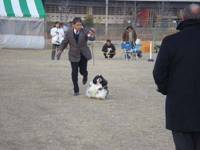 久々に...