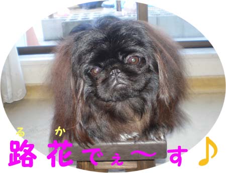 路花