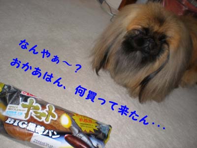 買っちゃいました・・・