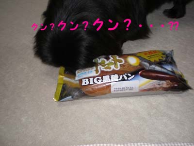 買っちゃいました・・・