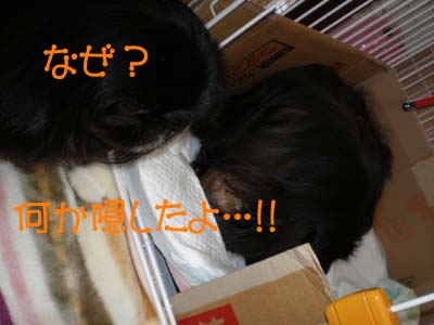 気になる・・・