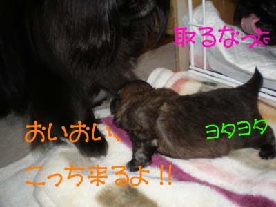 気になる・・・