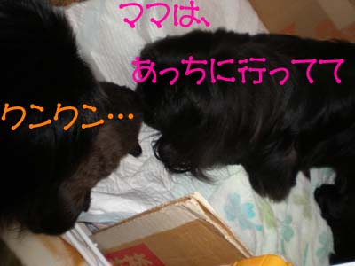 気になる・・・