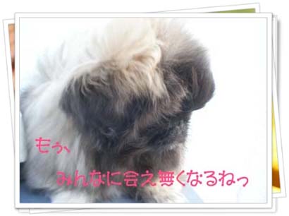 LIONA行ってらっしゃい・・・