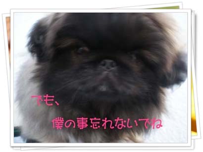 LIONA行ってらっしゃい・・・