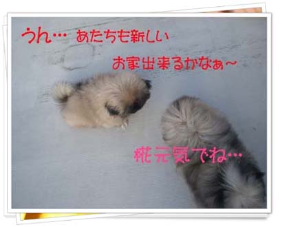 LIONA行ってらっしゃい・・・