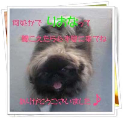 LIONA行ってらっしゃい・・・