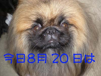 Happy Birthday Leon ♪