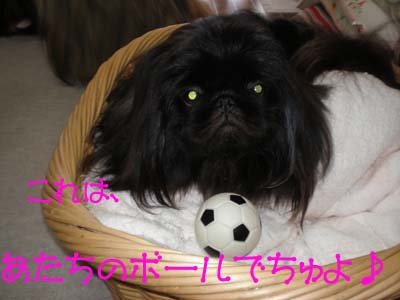 いけずな路花・・・