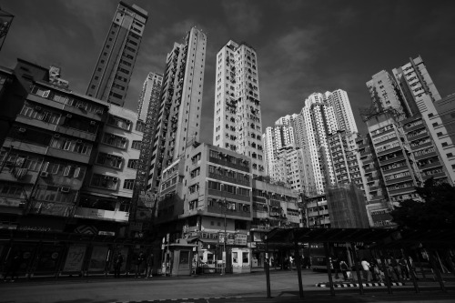 香港*十五