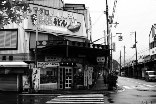 クロマグロ国際取引禁止案