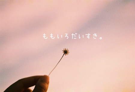 ももいろわかやま。