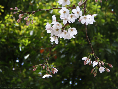 Good morning♪