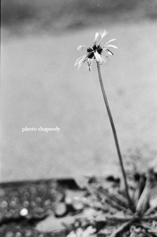 silent.