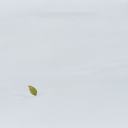雪