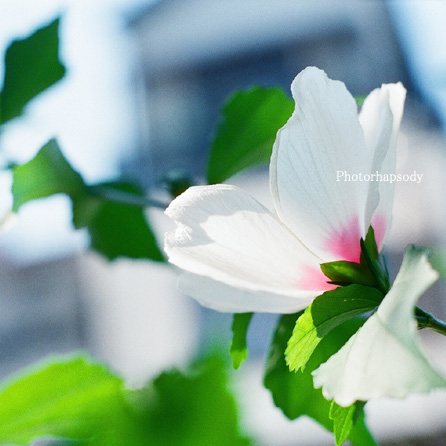 7月1日