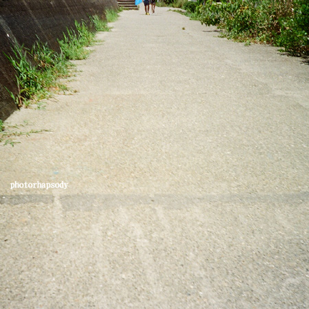 夏の道。