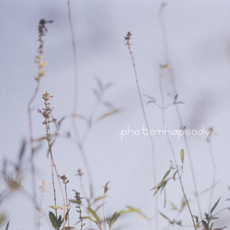 September +.゚