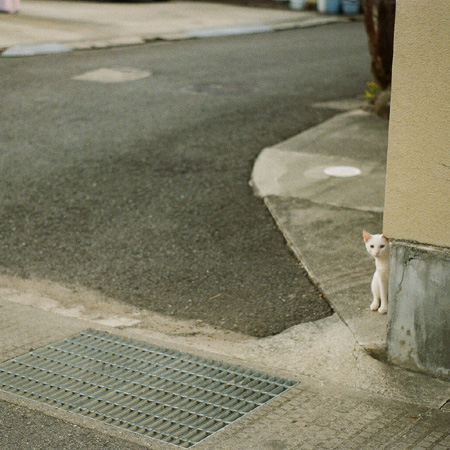 約、半年。
