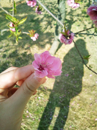 新しい季節、新しいココロ。