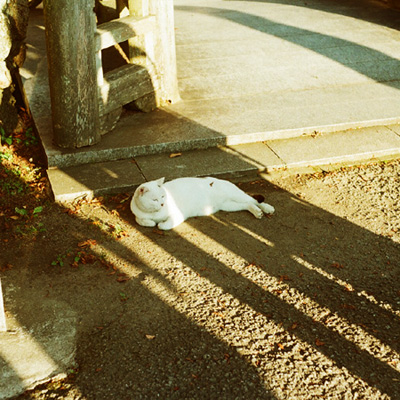 いろいろあるけどね