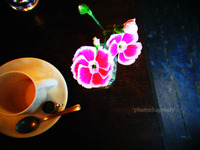 珈琲とマスター 2012/03/08 22:06:59