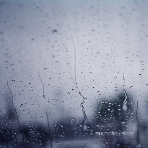 雨