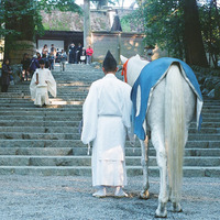 神馬