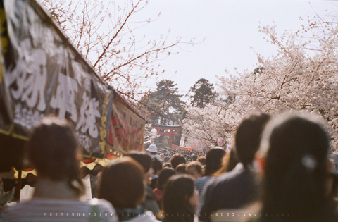 春・京・町・歩。