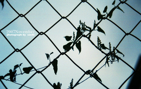 November 2007.