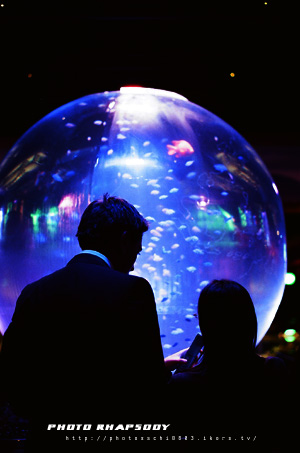 SKY AQUARIUM