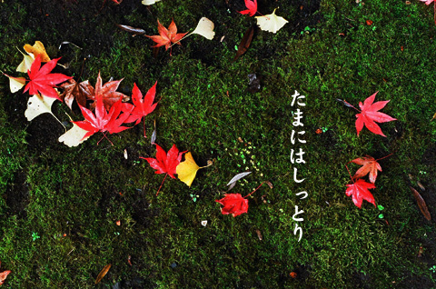紅。