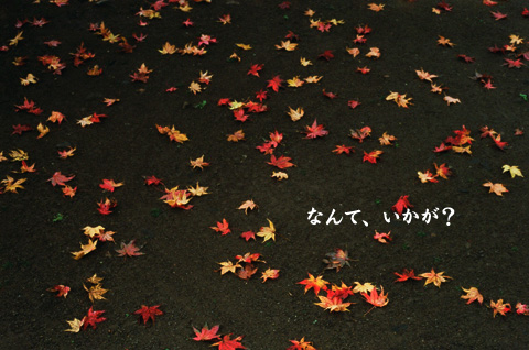 紅。