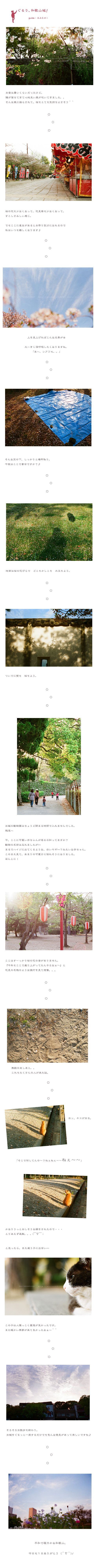 ぐるり、和歌山城!