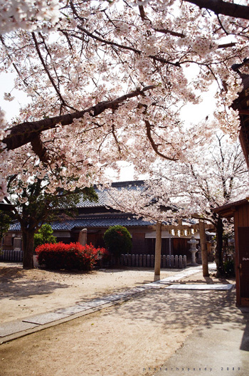 春神社。