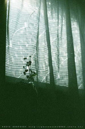 in my room.