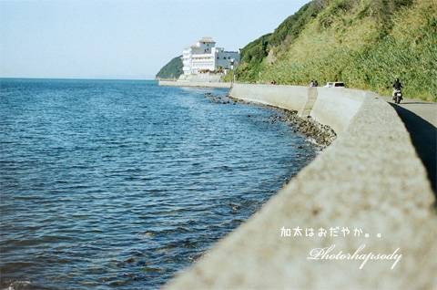 イコラーな日。