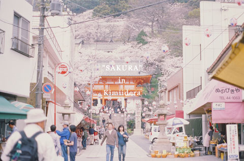SAKURA