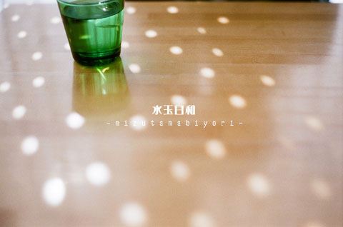 水玉日和。