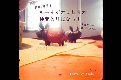 ケーキな秋。