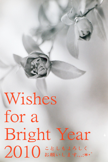 新年.。.:*・゜