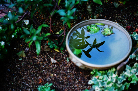 水鏡。