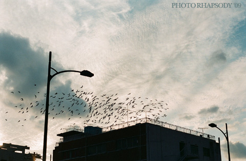 destination.
