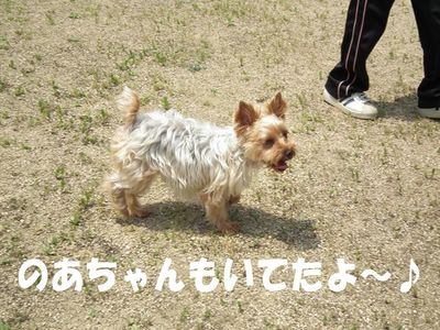親方→ラン大好き!ぽん太→ランは・・・
