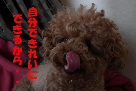 朝の洗顔^^;