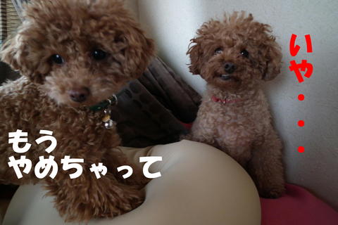 朝の洗顔^^;